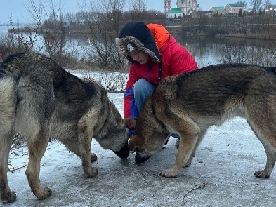 Акция «Кормим бездомных животных».